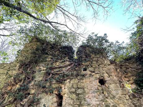 Une chapelle au bord du ravin : comment réparer l’avenir des ruines ?