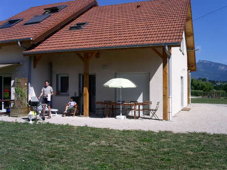 Aux fruits de la Treille - Gîte Vigne