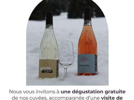 Domaine Chabran Antonin