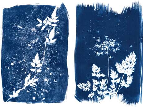 Cyanotype workshop