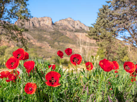 Défi nature au lac de l'Aréna