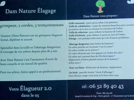 Dam Nature Elagage