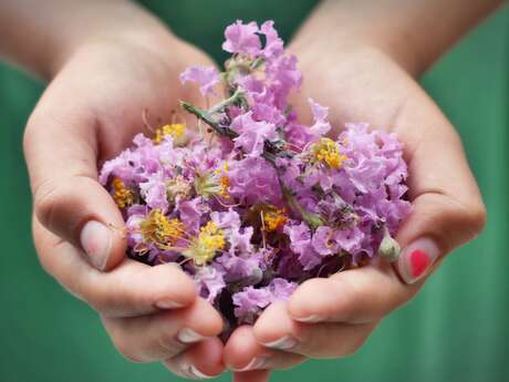 Découvrir l'aromathérapie - atelier enfant