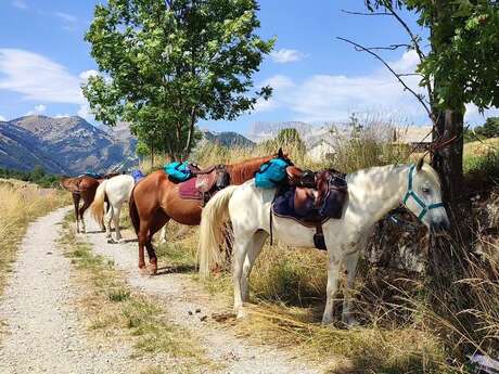 Randonnée 2 jours à cheval