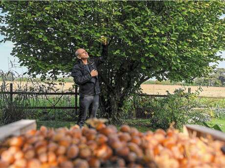 Stage week-end: Plantes sauvages comestibles