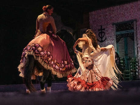 Théâtre Equestre Camarkas