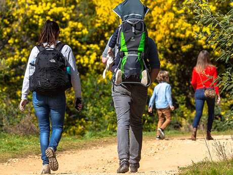 Wandern: Im Land der Mimosen