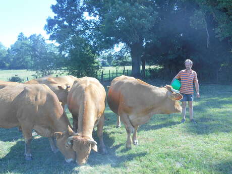 Ferme Tradi Bresse