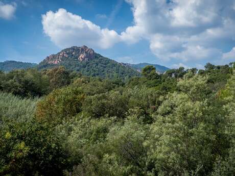 Parc naturel départemental de l'Esterel