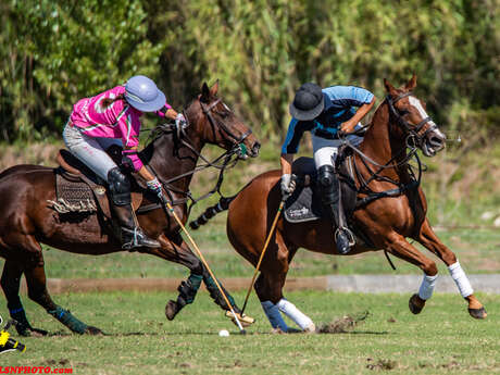 Cours de polo