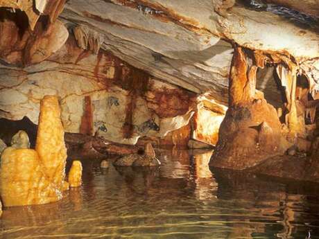 Sortie CCAS : grotte Cosquer