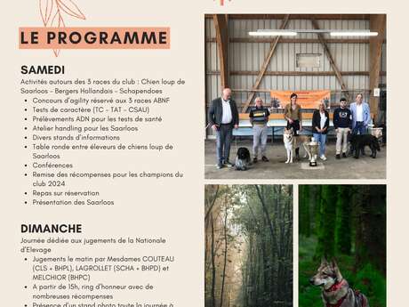 Nationale d'élevage du Berger Néerlandais