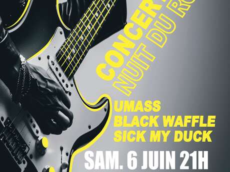 Nuit du Rock