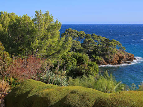 Après-midi découverte du Domaine du Rayol