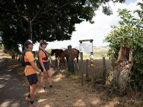 Parcours trail 11 - Trail nord de Bellegarde : entre panoramas et fermes