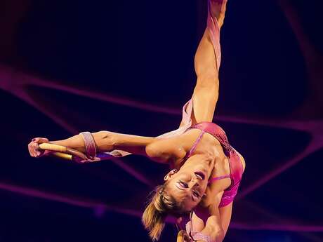 Cirque aérien