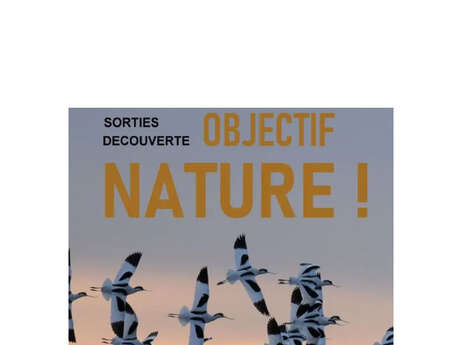 Sorties nature - Objectif Nature