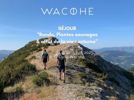 Séjour 'Rando, plantes sauvages & Affût de la vie nocturne' - Wacohe Séjour 'Rando, plantes sauvages & Affût de la vie nocturne' - Wacohe