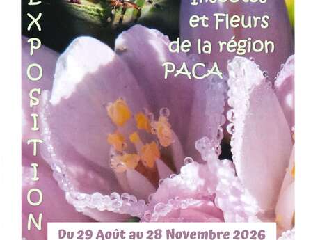 Exhibition: Fabulous Insects and Flowers of the PACA Region