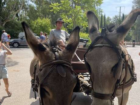 Tours en calèche par les ânes de Maëlia