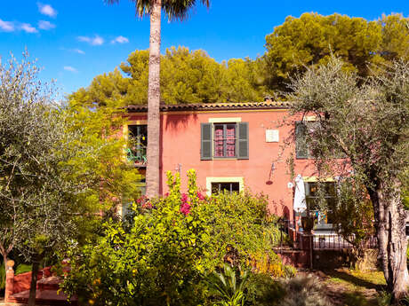 Bed and Breakfast sotto l'ulivo