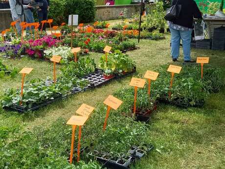 Fête des plantes