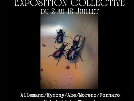 VERNISSAGE "ANIMAL(S)