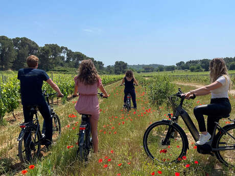 Balades en vélo électrique - Château Gigognan