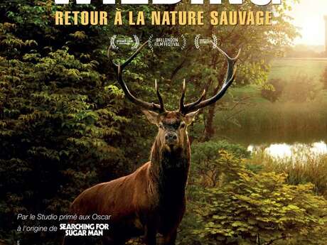 Ciné-débat autour du film Wilding - retour à la nature sauvage
