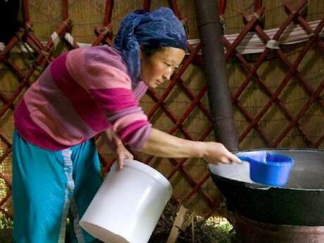 Projection : Raclette Kirghize et Sécheresse du coeur