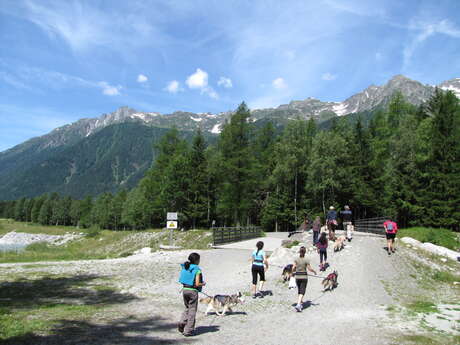 Canine hike with Huskydalen