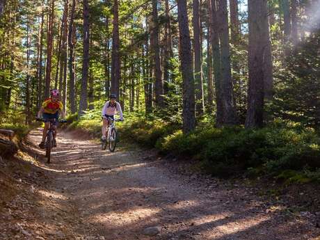 65 - Les Trois Ponts