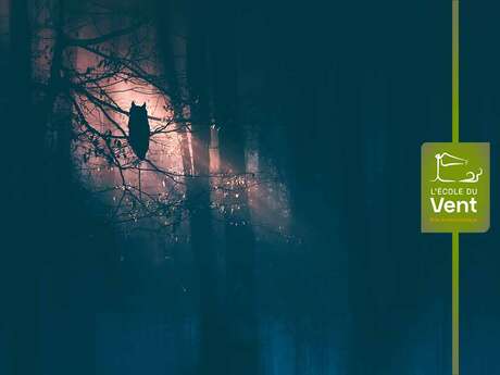 Balade nocturne : animaux maléfiques ou légendes à la peau dure ?
