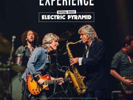 Concert : The Dire Straits Experience