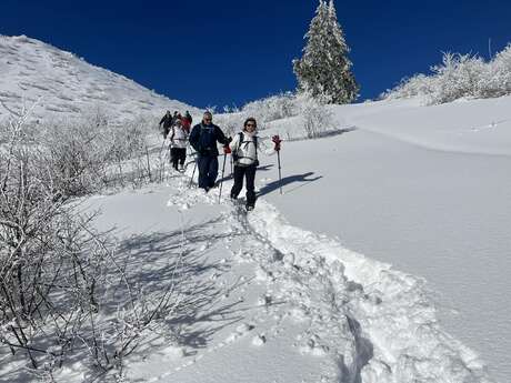 Sortie Raquettes avec diot grillé ou fondue