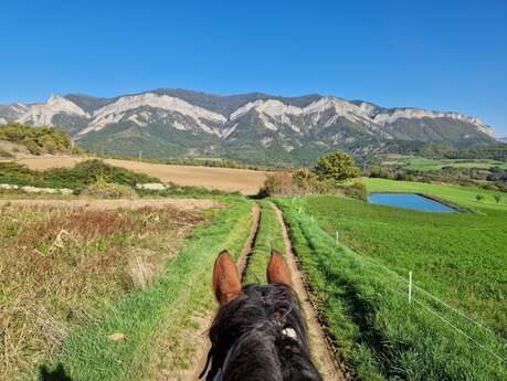 Centre équestre Equiterra