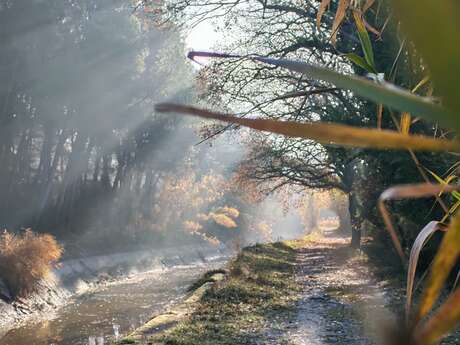 Boucle gravel Canaux & Monts de Vaucluse
