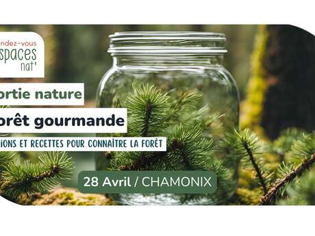 Sortie nature - Foret gourmande