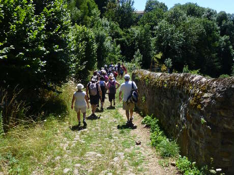 Sentier des Paysages des Monts du Lyonnais