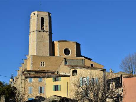 Collégiale Saint Martin