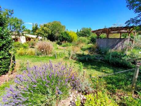 Gemüsegarten-Workshop - Blumen und Kräuter