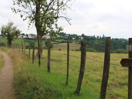 Sentier paysagé