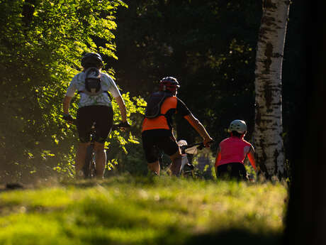 N° 13 - La pierre branlante - Espace VTT-FFC Massif des Bois Noirs