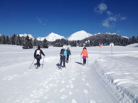 Initiation hivernale au Nordic Walking