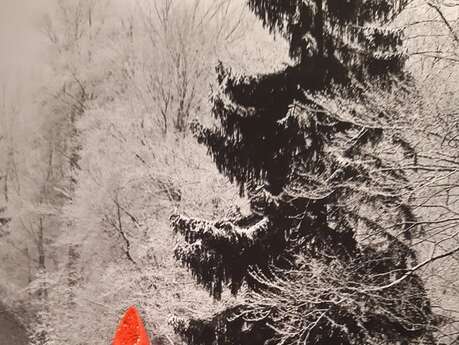 Au labo du Château : Lutins de bois