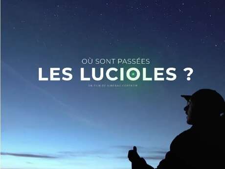 Où sont passées les lucioles ?