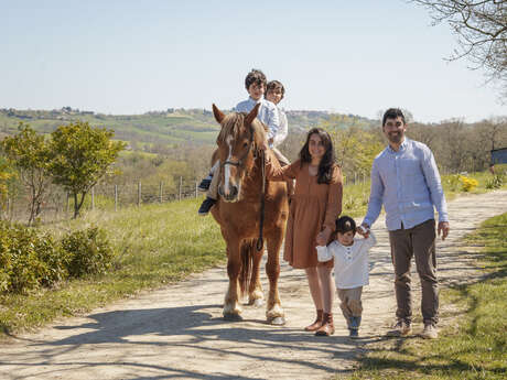 Nouveauté : Lucky Ranch