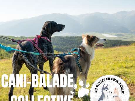 Cani-balade
