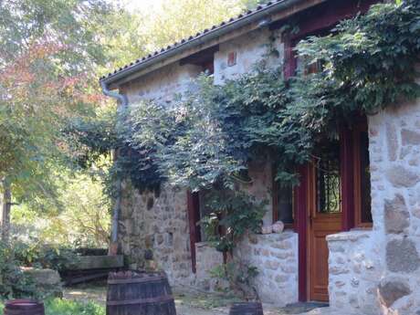 Gîte de la Ferme qui prend racines