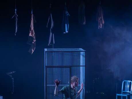 Théâtre : Roberto Zucco